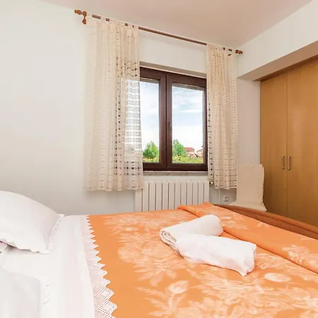 Pet Friendly In With Wifi Holiday home Privlaka (Zadar)