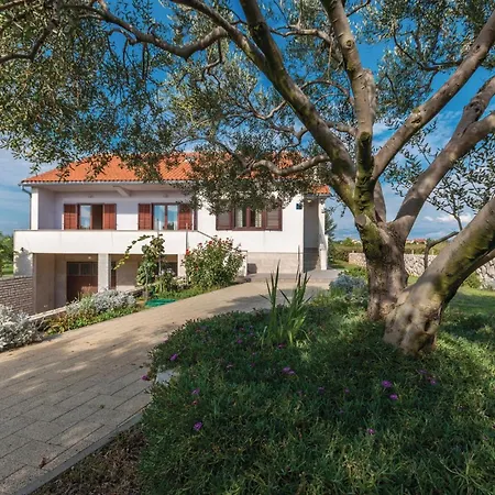 Pet Friendly In With Wifi Privlaka (Zadar)